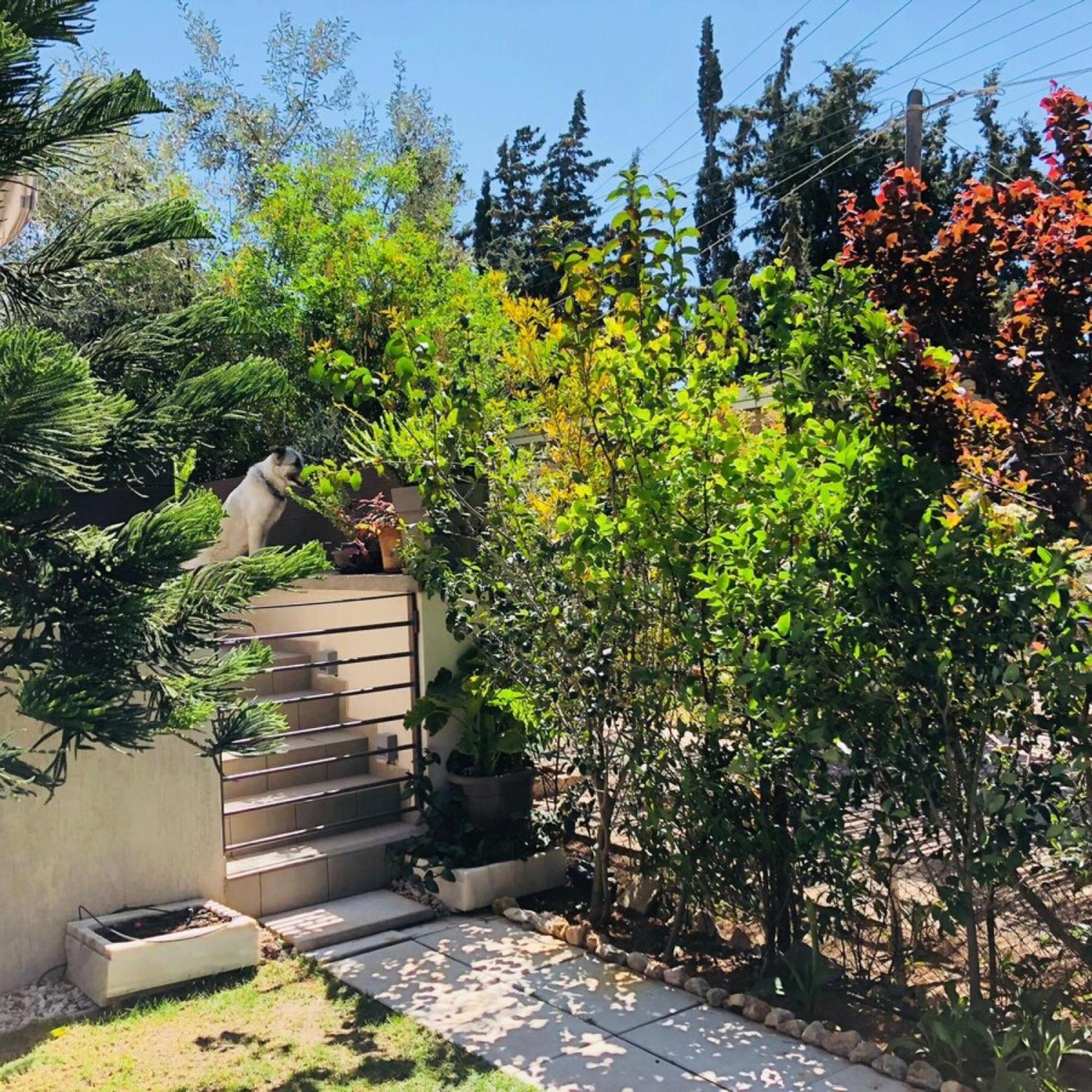 Azure House At Lagonissi Λαγονήσι Εξωτερικό φωτογραφία